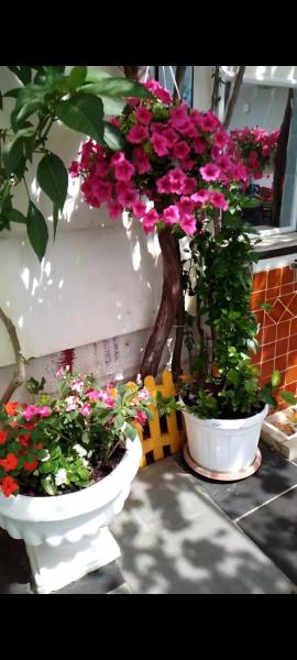 Rent Rooms Villa AG&AF